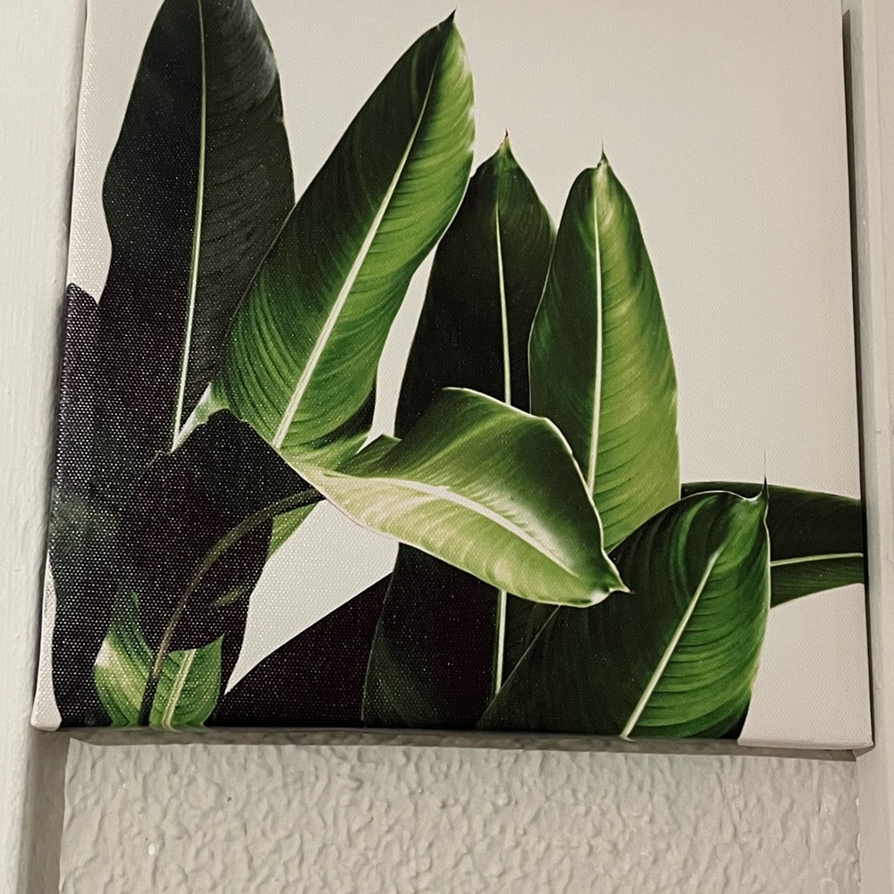 Green Leaf Canvas Wall Art